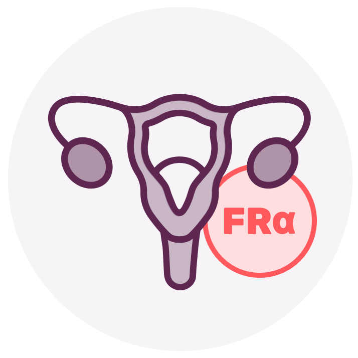 Graphic of the female reproductive system with FR⍺ in a pink bubble